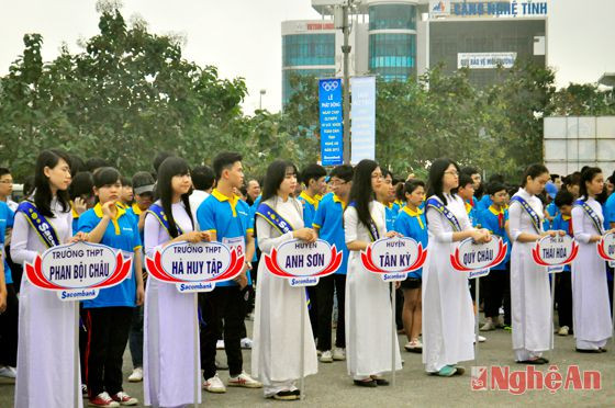 Các đội tham dự