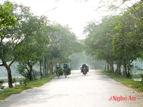 Đường Trần Trùng Quang qua địa bàn xã Hưng Lộc (TP. Vinh) vẫn lưu giữ nét quê.