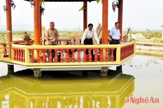 Mô hình sản xuất cá giống của HTX Giống thủy sản   xã Thịnh Sơn.