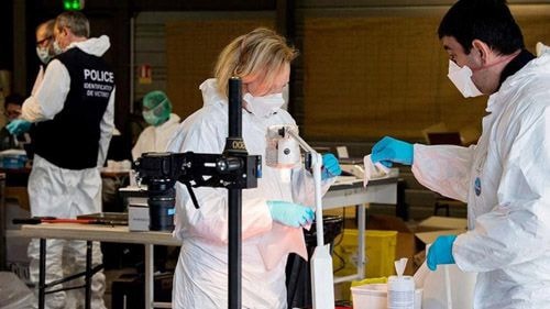 Bên trong phòng giám định DNA gần hiện trường xảy ra tai nạn Germanwings. Ảnh: AFP.