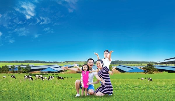 Cùng gia đình Hoàng Bách đến thăm những cô bò sữa hạnh phúc mùa hè này
