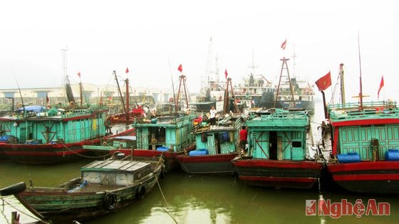 Tàu cá ngư dân Nghi Thủy neo đậu tại Cảng Cửa Lò
