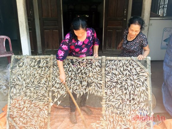 Cá cơm được người dân địa phương phơi sấy.