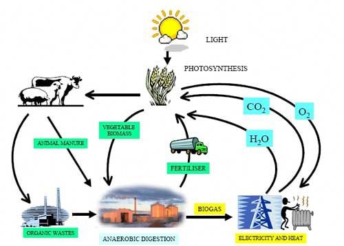 Quy trình sản xuất khí biogas. Ảnh: SSC