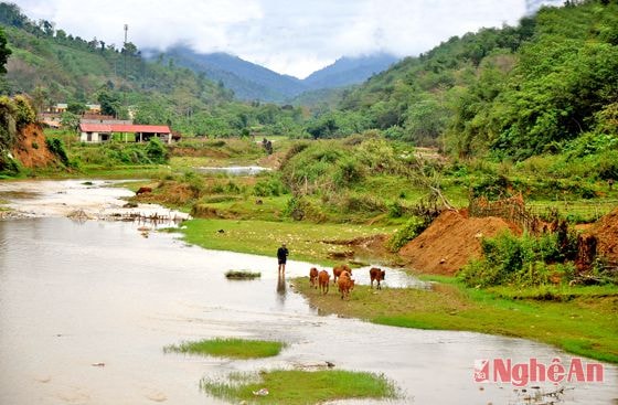 Nước khe Chà Hạ dần xanh trong trở lại.