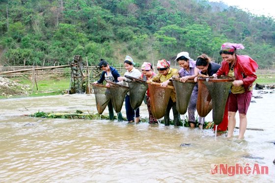 Người dân xúc cá dọc khe.