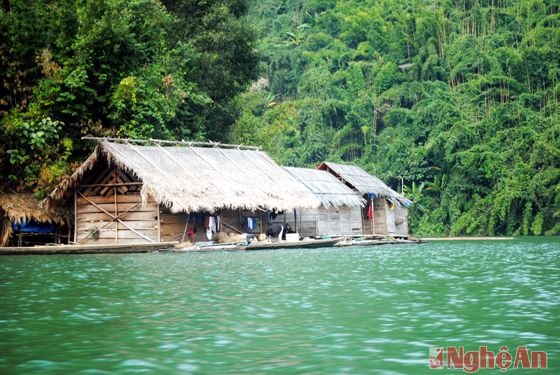 Làm nhà trên bè để đánh bắt cá ở hồ Thủy điện Bản Vẽ.