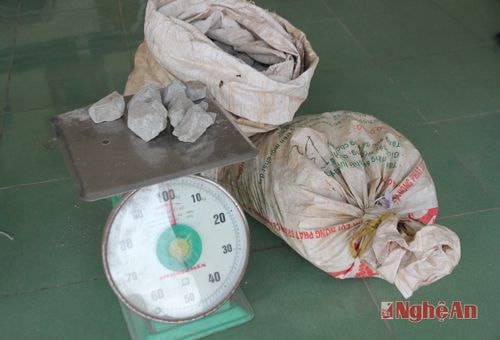 Tang vật bắt giữ được
