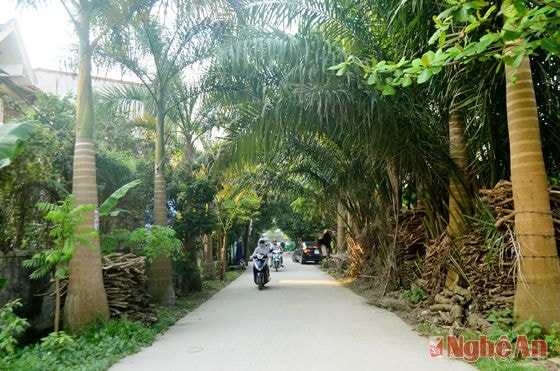 Một quãng bình yên trên đường Cây xanh