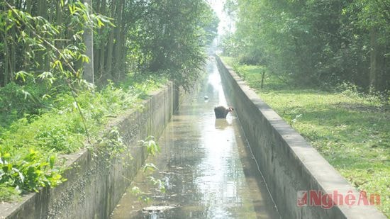 Vớt rác, vét bùn để tránh tình trạng ứ đọng mương thoát nước.