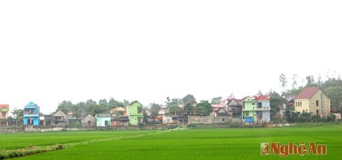 Quang cảnh xã Nghĩa Đồng