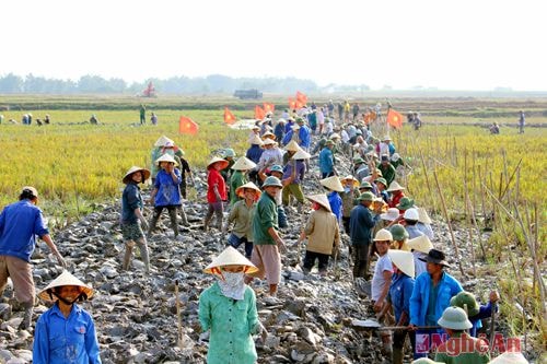 Chỉnh trang đồng ruộng ở xã Nghĩa Đồng.