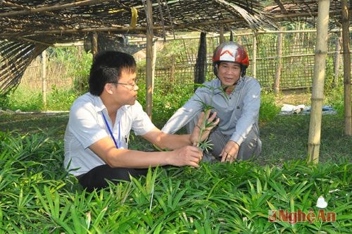 Mô hình ươm giống theo chương trình 30 a xây dựng NTM tại bản Cam, xã Tam Thái