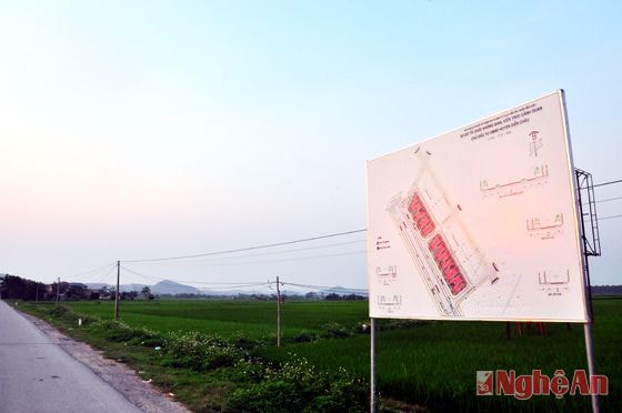 Vị trí quy hoạch tái định cư cho 18 hộ với 42 lô đất trên tuyến QL48  chưa được triển khai xây dựng hạ tầng (ảnh chụp ngày 3/4/2015).