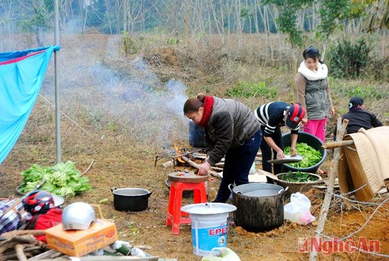 Tránh ngộ độc thực phẩm, người dân cần thực hiện đúng  10 nguyên tắc vàng.