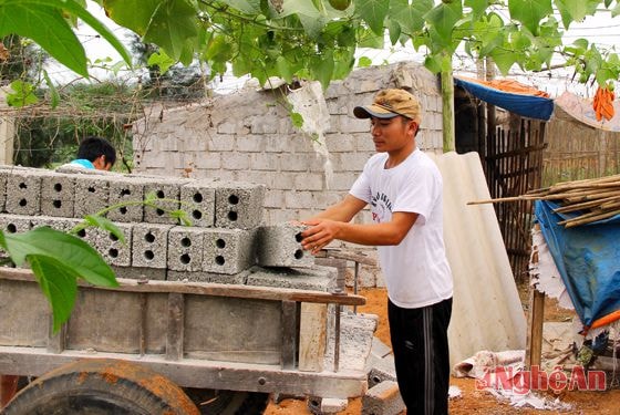 Xây dựng hệ thống nhà máy nhỏ để ép thêm tinh dầu gấc