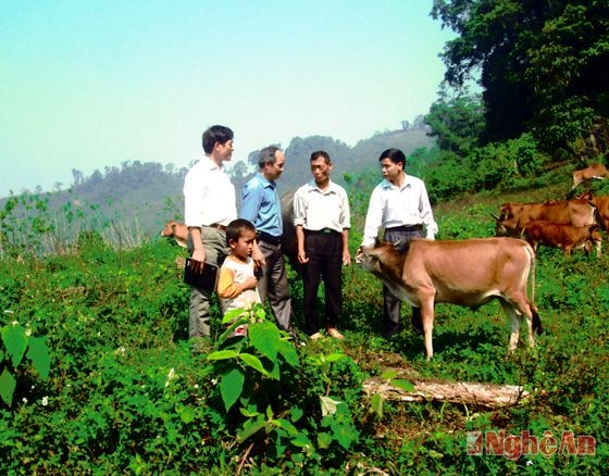 Một góc trang trại của ông Lầu Chống Tủa