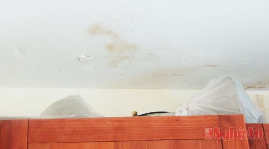 Tại phần lớn các căn hộ trên cùng của tòa chung cư Vinaconex 9B cũng  xẩy ra tình trạng thấm dột, nứt gây ẩm mốc, bong tróc tường nhà.