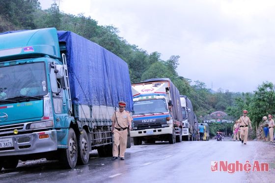 Công an huyện Tương Dương đã tạm giữ đoàn xe này, và đề nghị công an tỉnh Nghệ An phối hợp cùng kiểm tra xử lý.