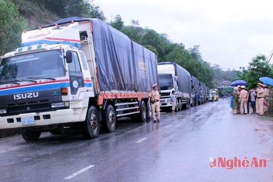 Công an huyện Tương Dương cho biết, hầu hết tài xế điều khiển xe đều mang quốc tịch Lào gây rất nhiều khó khăn cho công tác điều tra vì bất đồng ngôn ngữ. 