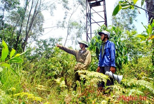 Canh lửa rừng ở BQL rừng phòng hộ Nam Đàn. Ảnh: Hữu Nghĩa