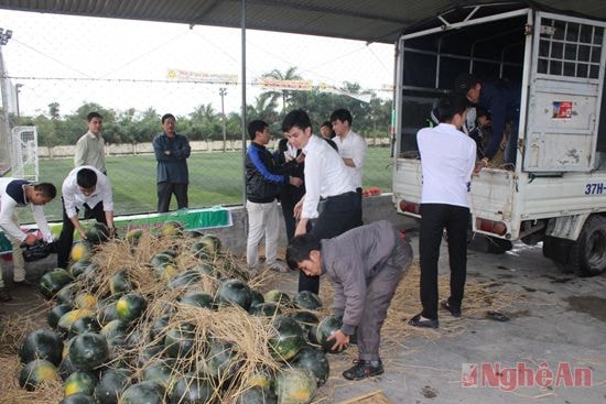 Số dưa này được nhiều nhóm thiện nguyện, nhiều sở ban ngành trên địa bàn TP.Vinh thu mua.