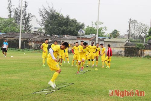 Các cầu thủ SLNA miệt mài tập luyện.