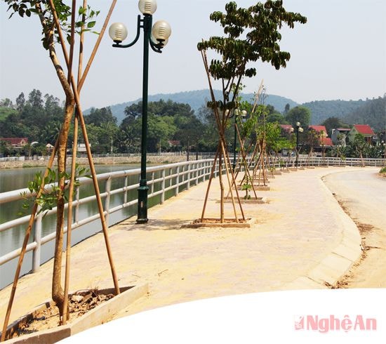 Cây mới trồng ở Lâm viên Bàu Sen