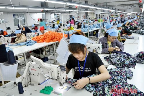 Dây chuyền may xuất khẩu tại Nhà máy may Nam Sung Vina (Diễn Châu). Ảnh: H.N
