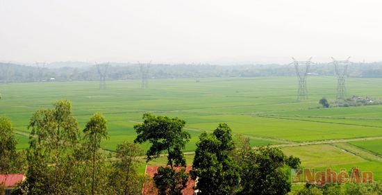 Những cánh đồng lúa trải rộng, bằng phẳng tạo điều kiện đưa công nghiệp vào sản xuất.