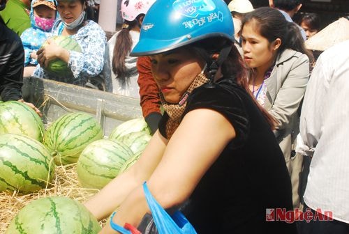 Dưa vừa vận chuyên về đến phường, đông đảo người dân mua dưa ủng hộ