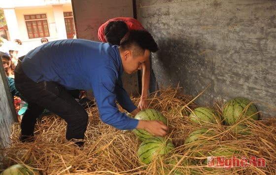 đoàn viên thanh niên phường Lê Lợi tình nguyện bán dưa giúp dân