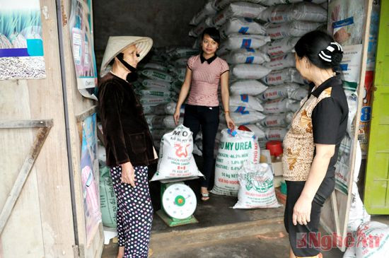 HTX nông nghiệp Nghi Lâm cung ứng các loại phân bón cho bà con.