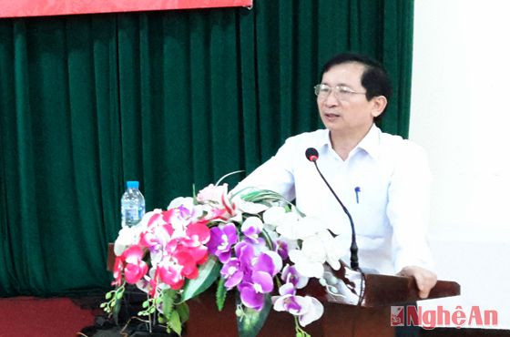 Đồng chí Đinh Thị Lệ Thanh phát biểu tại hội nghị