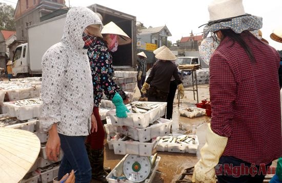 Các thương lái đang thu mua cá ngay tại bến