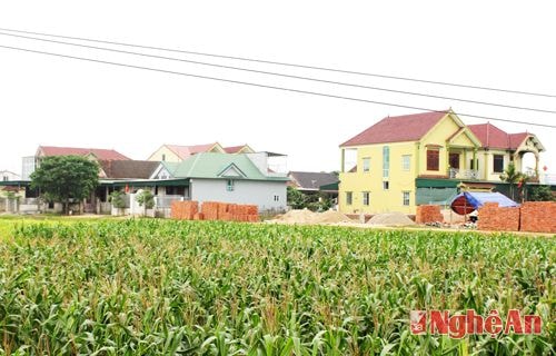 Nhà ở xây từ nguồn tiền đi XKLĐ của người dân xóm Nhật Quang, xã Vân Diên (Nam Đàn).