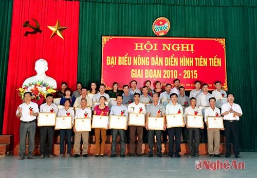 Lãnh đạo huyện Quỳnh Lưu trao giấy khen cho các đại biểu tiên tiến.