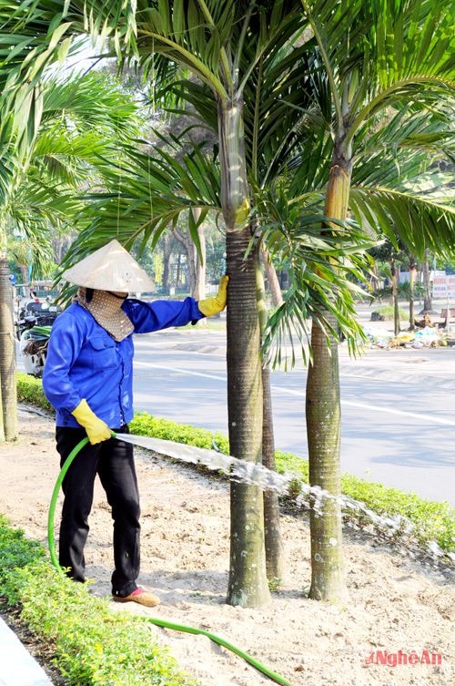 Công nhân công ty vệ sinh môi trường khơi thông hệ thống thoát nước.