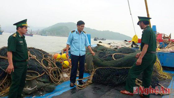 Tàu cá  Quảng Ngãi khai thác trái tuyến bị xử phạt