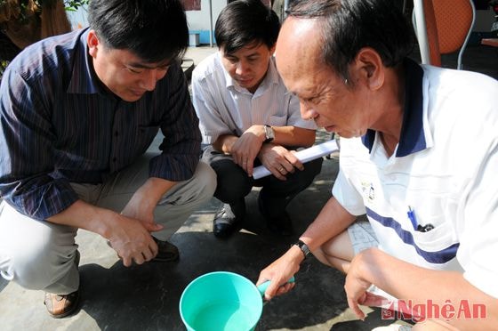 Kiểm tra tôm giống tại xã Quỳnh Liên (Quỳnh Lưu).