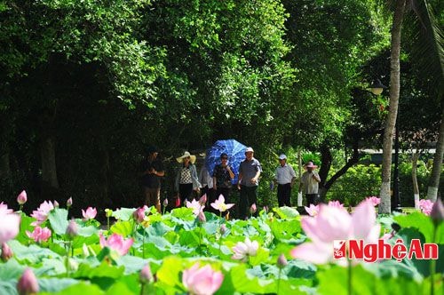 Thăm đầm sen, lò rèn, giếng Cốc ở “quê chung” Kim Liên.