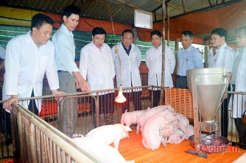 Đồng chí Nguyễn Xuân Đường thăm trang trại của gia đình anh Hoàng Quốc Hải1.