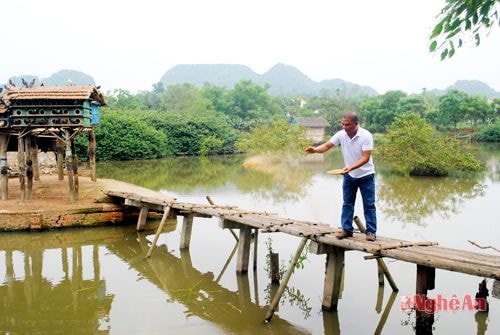 Anh Nguyễn Danh Hiền cho cá ăn. 