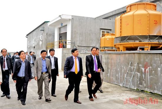 Thăm Nhà máy bột cá ở Diễn Châu. Ảnh: S.M