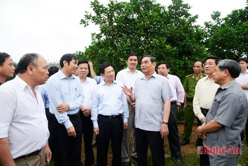 Đồng chí Lê Hồng Anh và các đồng chí lãnh đạo tỉnh thăm trang trại cam  ở xã Đồng Thành (Yên Thành). Ảnh: Sỹ Minh