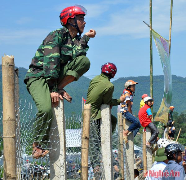 Và leo lên cả hàng rào vòng ngoài để được xem những 