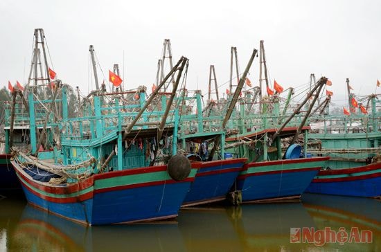 Đội tàu đánh bắt xa bờ của ngư dân xã Tiến Thủy (huyện Quỳnh Lưu).