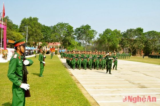 Các đơn vị diễu hành