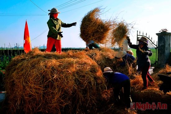 Chị em đóng rơm từ chiều hôm trước