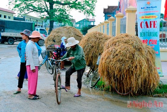 Họp chợ rơm ở ngã tư xã Quỳnh Lương từ sang tinh mơ